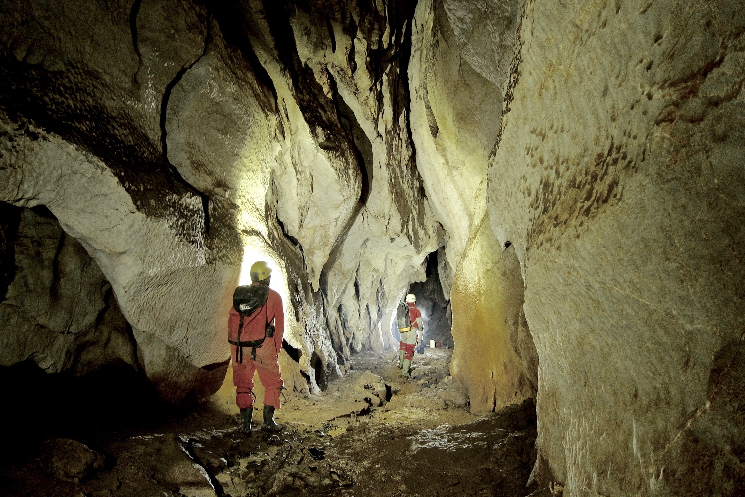 Northern Thailand: The SMCC 2016 Expedition to Doi Phuka National Park