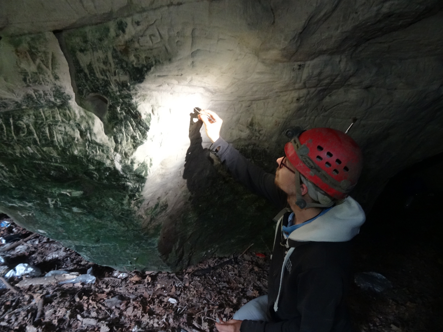 The BCRA Cave Biology SIG and the Cheshire Sandstone Cave Project