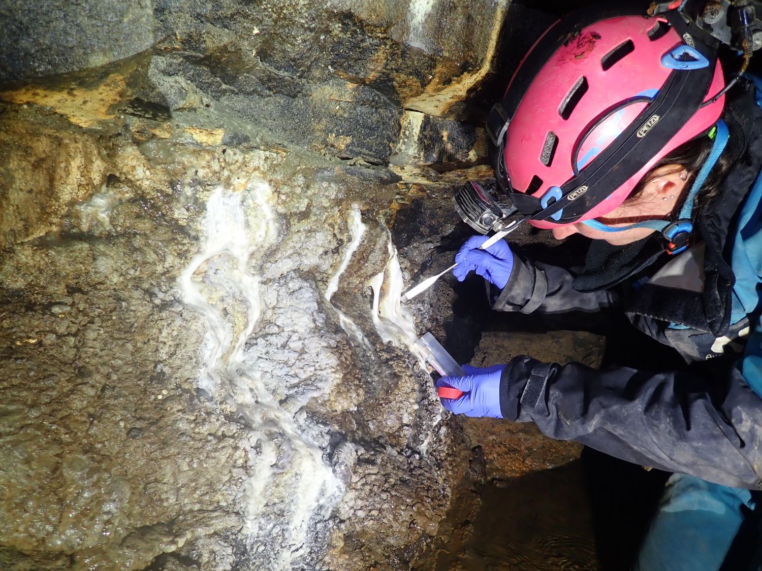 Once upon a slime: snottites and biofilms in neutral mine drainage environments in Derbyshire