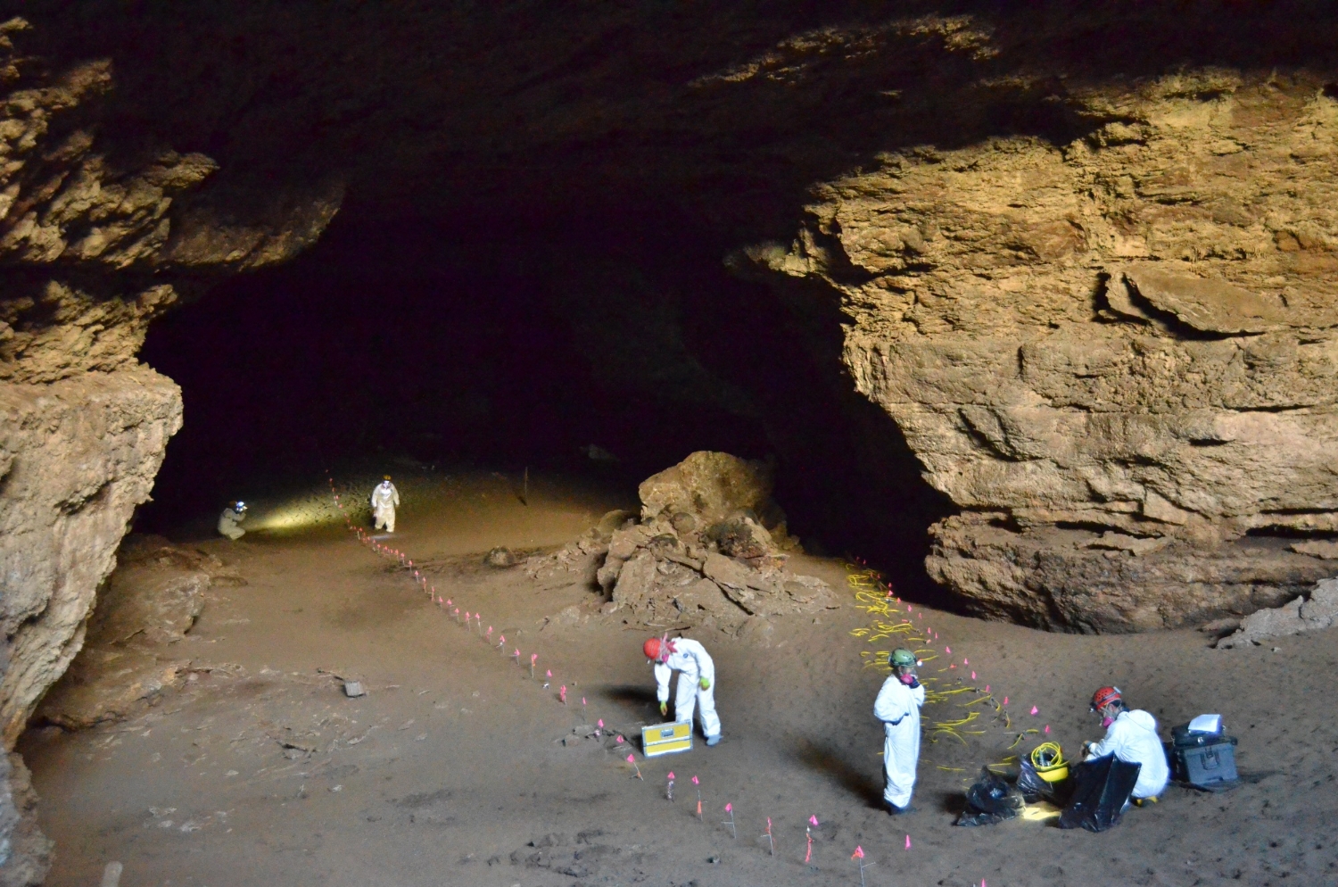 World’s First Geophysical Surveys of Bat Guano