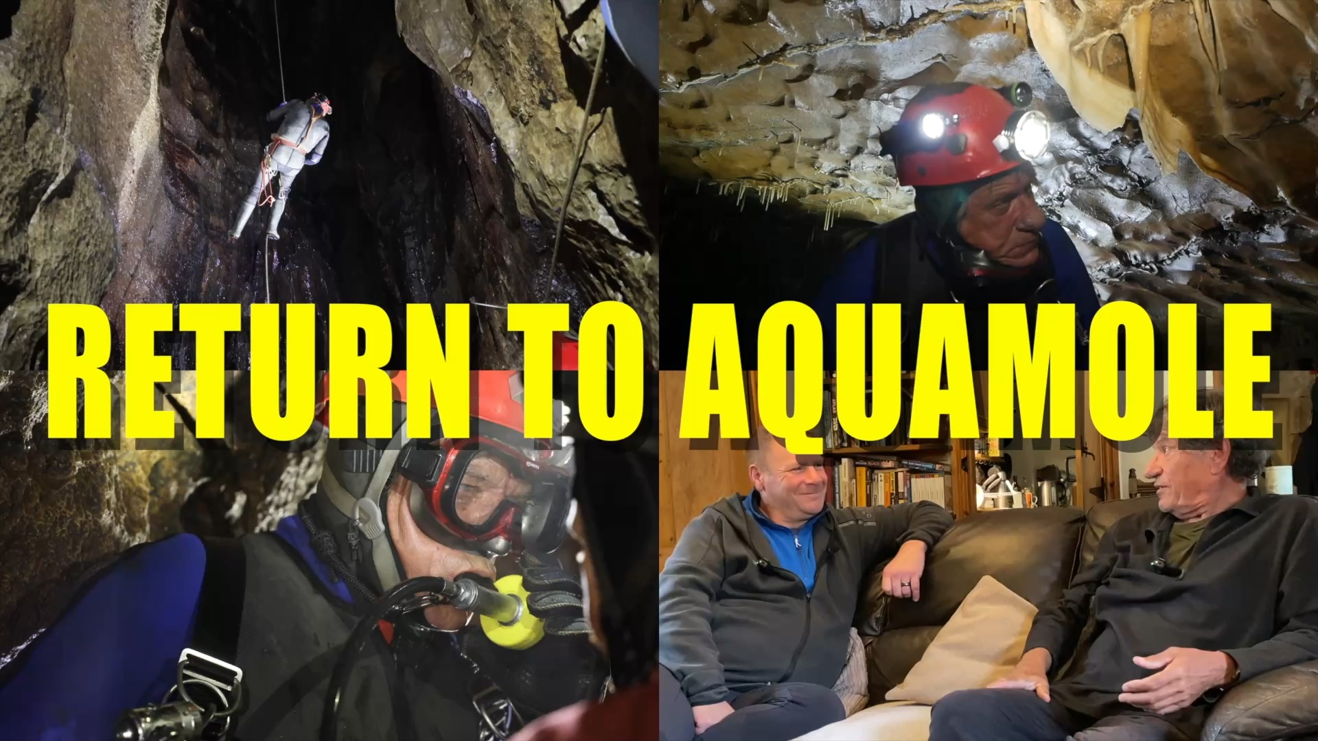 Return to Aquamole