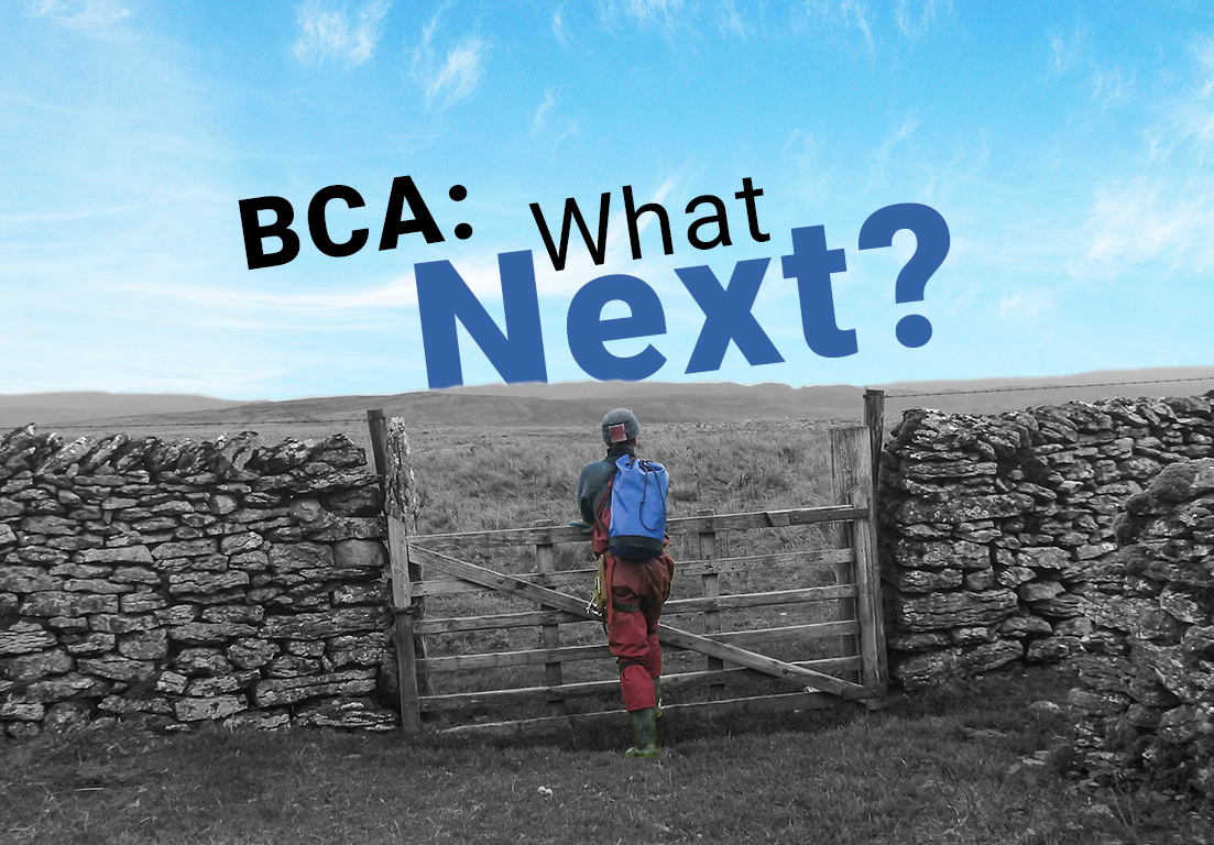 BCA: what next?